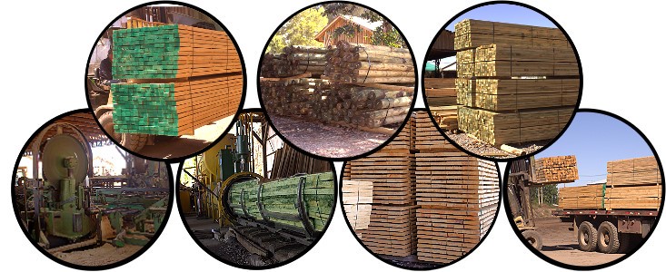 Maderas Wood